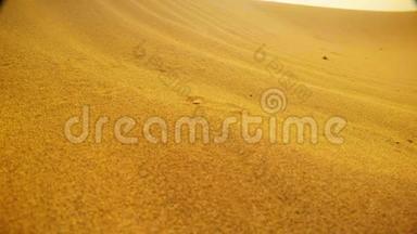 用手指触摸沙子，小蜥蜴爬出来，在沙漠里紧紧地跑开沙丘